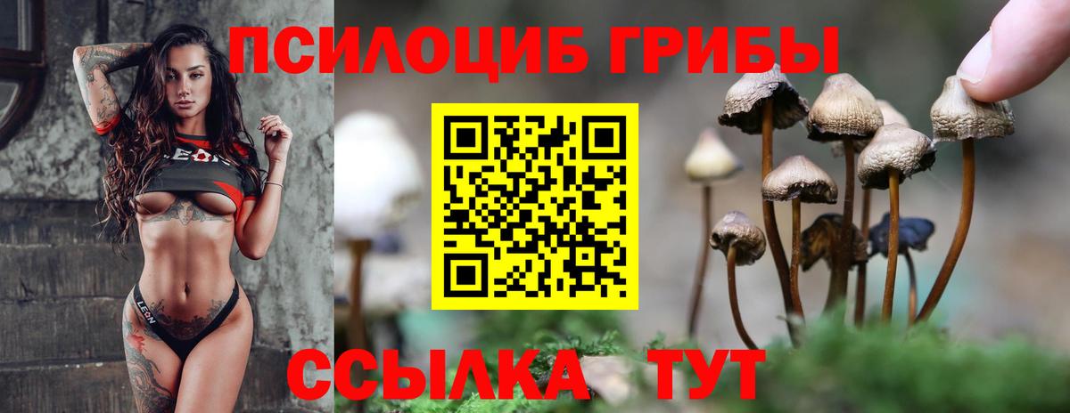Галлюциногенные грибы MAGIC MUSHROOMS  Вход с VPN  Карпинск  Псилоцибиновые грибы MAGIC MUSHROOMS 